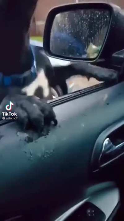 Love has its perils