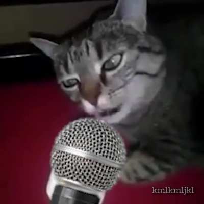 Do you have something to say?