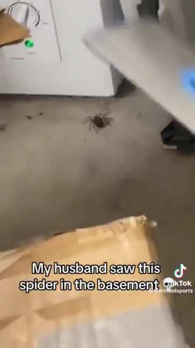 Nightmare fuel