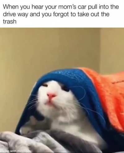 Mom, I forgot I swear!