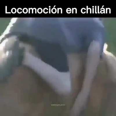 Simplemente