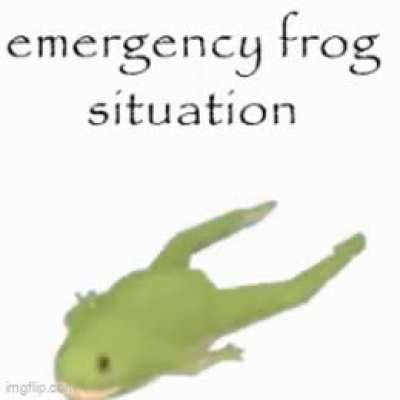EMERGENCY FROG SITUATION!!!