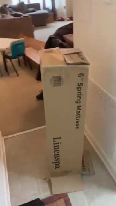 He turned himself into a box, funniest stuff I've ever seen