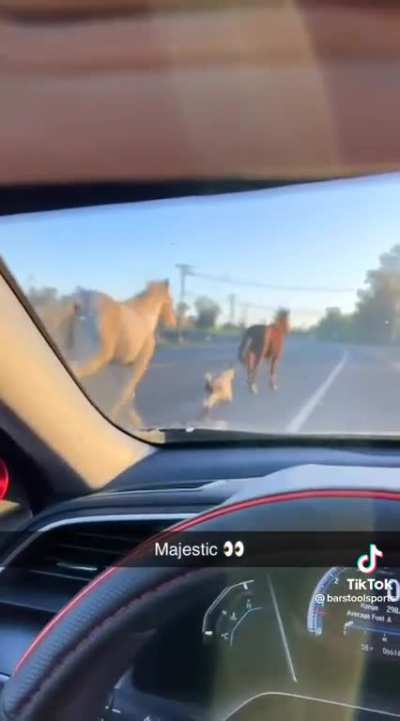 Beep beep mf&hellip; get outta my way