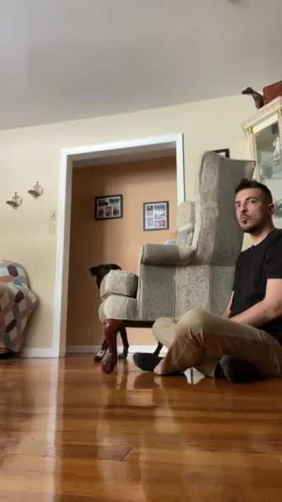 Crazy jealous dog hears kissing and has to get in on the action. Thought I&rsquo;d put it to the test...