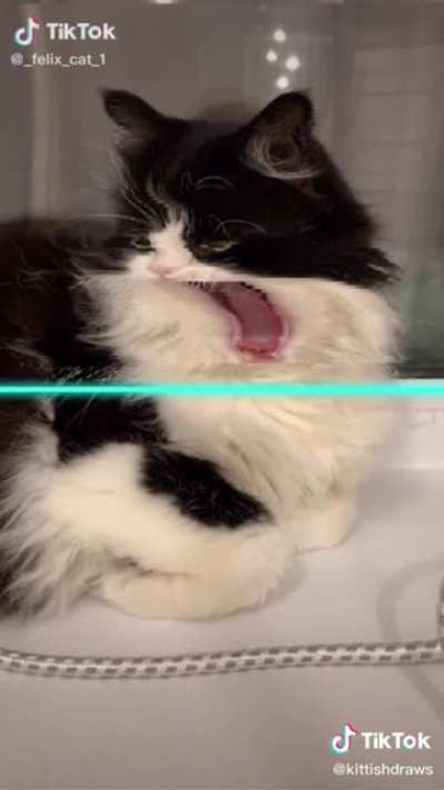 Baya tatlı hepsi amk