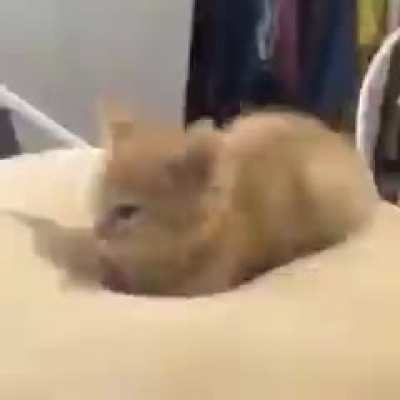 i think about this video at least once a day
