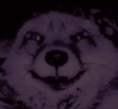 Cursed_fox