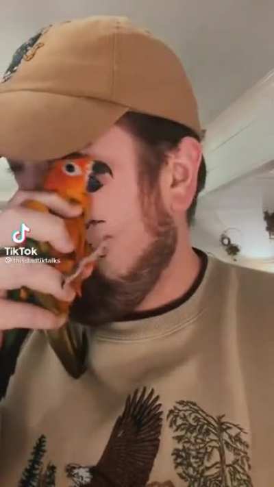 Pets are always there when you're down