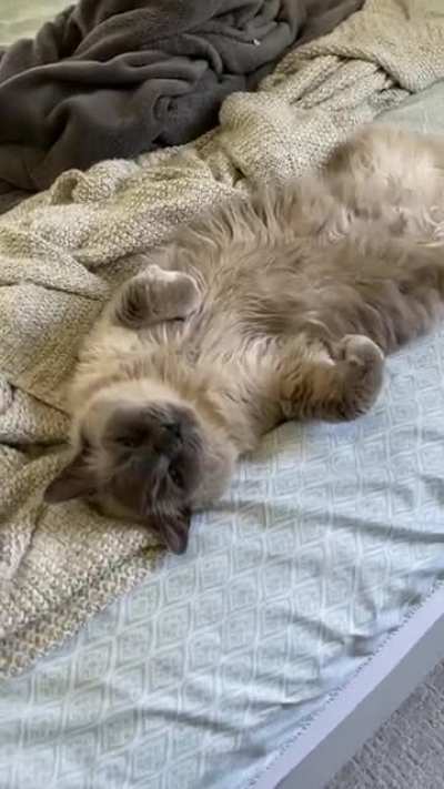 It&rsquo;s a tough life, but he lives it.