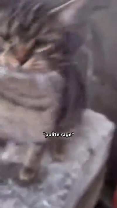 Rather displeased