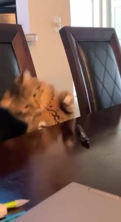 What&rsquo;s this pen doing here?