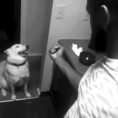 Woof