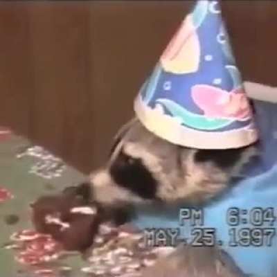 Annabelle has a birthday party