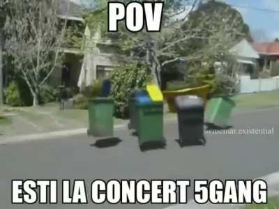 Le zice gami