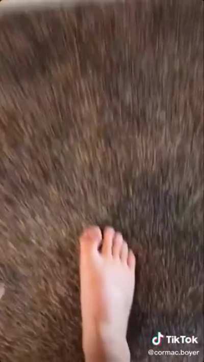 *Respiraci&oacute;n intensa*