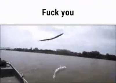 Fishing rule