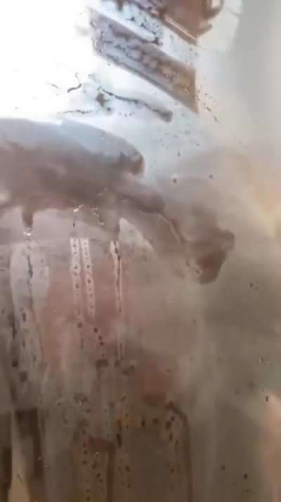 Steamy