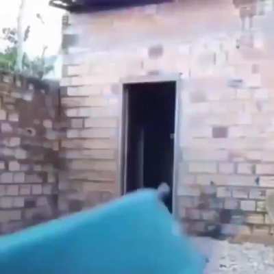 se as motiva&ccedil;&otilde;es da vida fossem literais