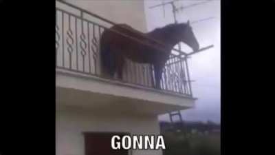 cursed_danger