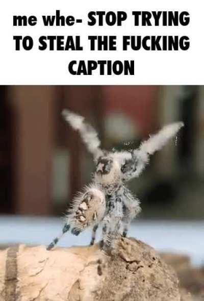 that's mine &amp;gt;:(