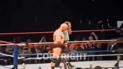 Stone Cold Steve Austin gets attacked by fan, Triple H takes him to suplex city