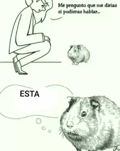 Noche de cumbieros 🤑🤙