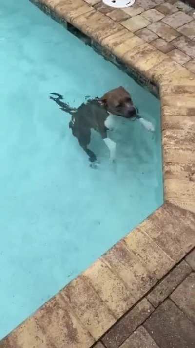 She&rsquo;s never done that before!