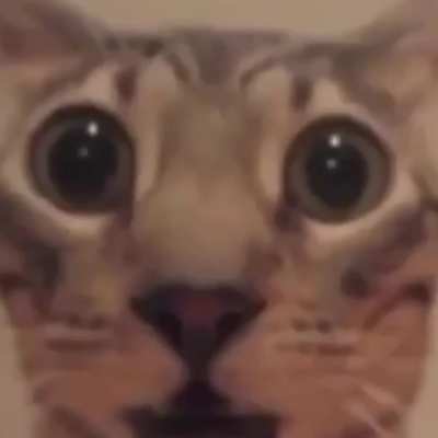 fard spooky