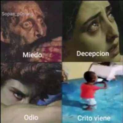 Crito biene