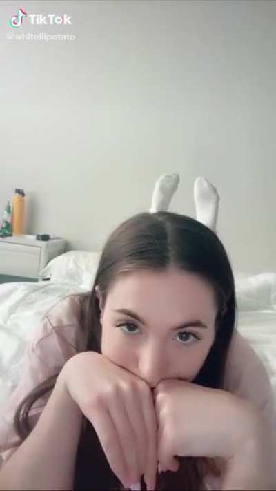 Cute bunny