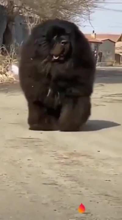 Unit or nah?