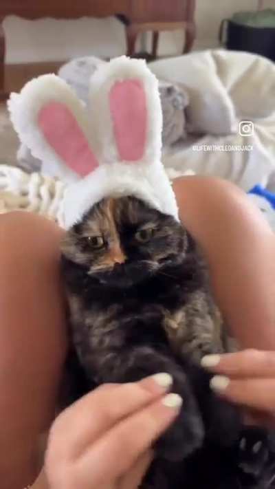 C@ Easter Theme
