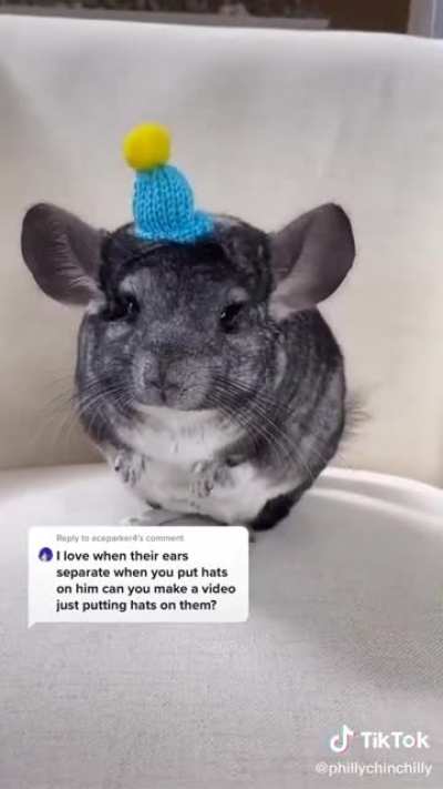 This is the most adorable thing ever!