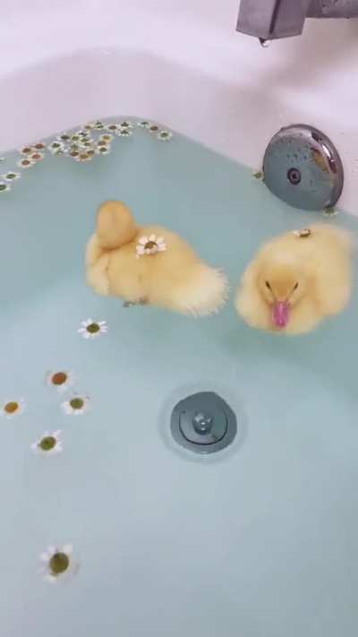 Blooming bath