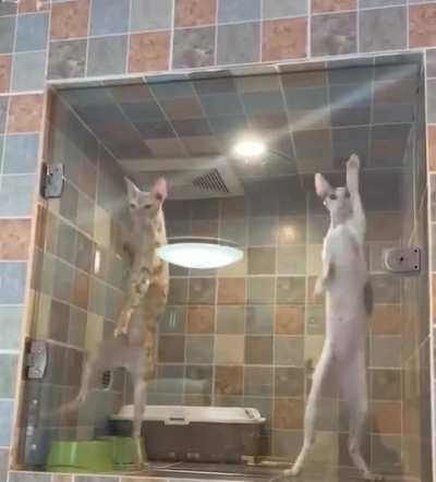 hmmm