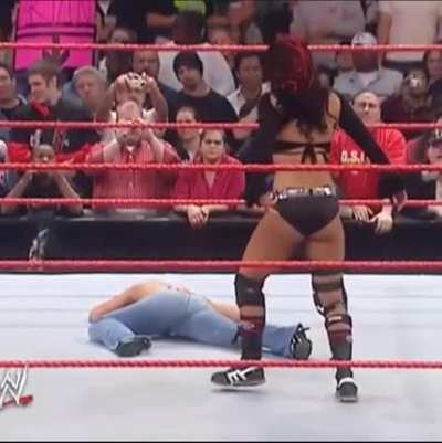 mickie james destroyed