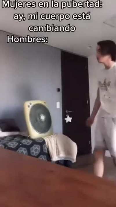 XDDD