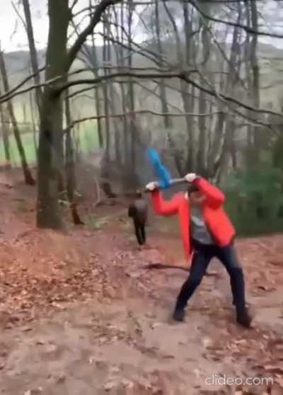 "I think it's much more fun"