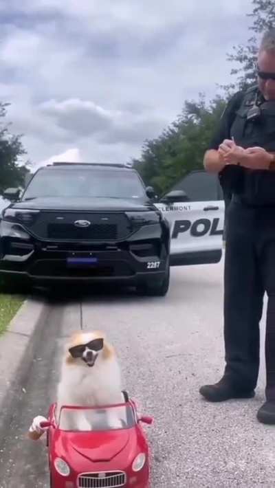 stop, you've committed a violation
