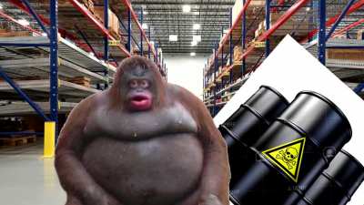 Monke Mistake