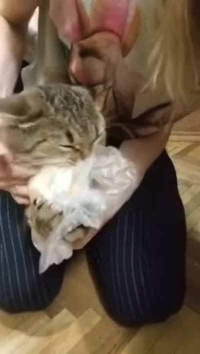&ldquo;I regret nothing! Do hear me? Nothing!&rdquo;