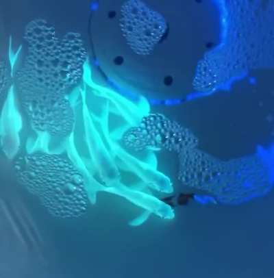 🔥 To better study pollutants impact on fish organs, scientists in Taiwan added jellyfish genes to carp fish DNA and these glowing fish are the result