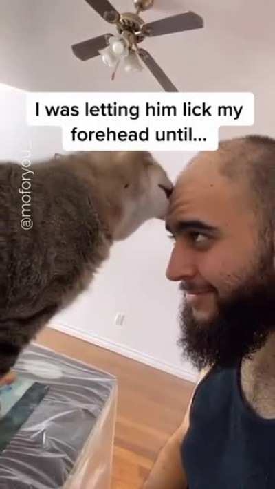 Суровый Котик