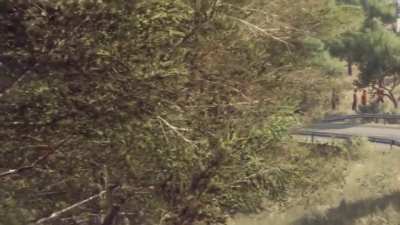 One of my best hairpin turns - Dirt Rally 2.0 Spain / Ribadelles (Ascenso por valle el Gualet) with Peugeot 208 WRX