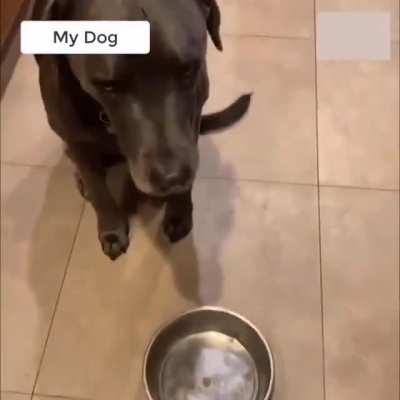 Are you sure hooman ?