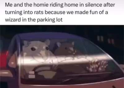 Rat