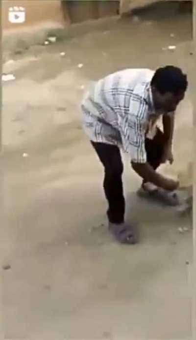 Abusing an animal
