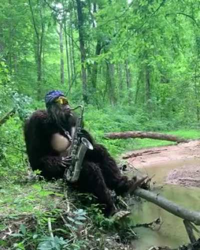 Monke Roll
