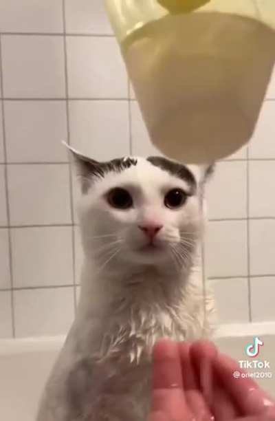 Cute.